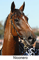 Niconero (14872 bytes)