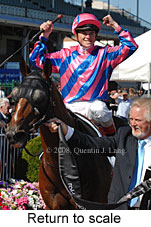 Return to scale (15361 bytes)