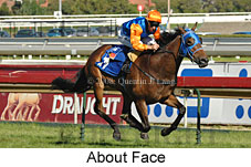 About Face (14872 bytes)