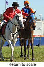 Return to scale (15361 bytes)