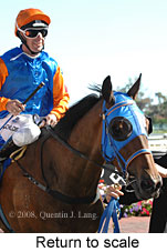 Return to scale (15361 bytes)