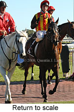 Return to scale (15361 bytes)