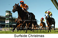 Surfside Christmas (14872 bytes)