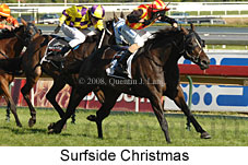 Surfside Christmas (14872 bytes)