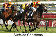 Surfside Christmas (14872 bytes)