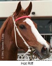 r2hotriff2.jpg (8310 bytes)