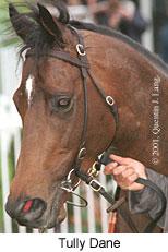 r4tullydane2.jpg (9397 bytes)