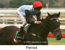 r7pernod.jpg (9330 bytes)