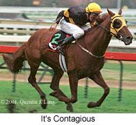 r8itscontagious.jpg (10709 bytes)