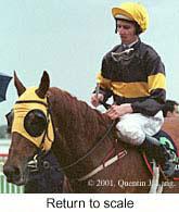 r8rtosc.jpg (8434 bytes)