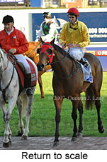 Return to scale (14008 bytes)