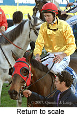 Return to scale (14008 bytes)