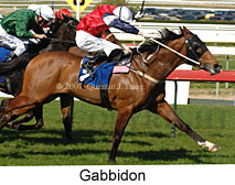 Gabbidon (14772 bytes)