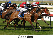 Gabbidon (14772 bytes)