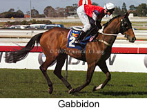 Gabbidon (14772 bytes)