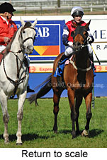 Return to scale (14008 bytes)