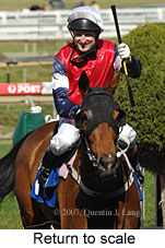 Return to scale (14008 bytes)