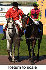 Return to scale (14008 bytes)