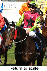 Return to scale (14008 bytes)