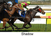 Shadow (14772 bytes)