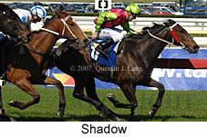 Shadow (14772 bytes)