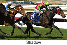 Shadow (14772 bytes)