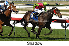 Shadow (14772 bytes)