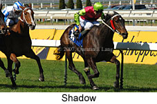 Shadow (14772 bytes)