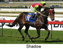 Shadow (14772 bytes)