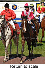 Return to scale (14008 bytes)