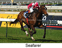 Seafarer (14772 bytes)