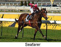 Seafarer (14772 bytes)