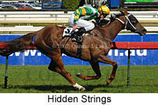 Hidden Strings (14772 bytes)