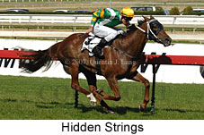 Hidden Strings (14772 bytes)