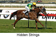 Hidden Strings (14772 bytes)