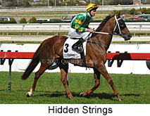 Hidden Strings (14772 bytes)