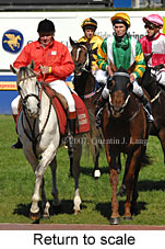 Return to scale (14008 bytes)