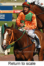 Return to scale (14008 bytes)