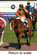 Return to scale (14008 bytes)