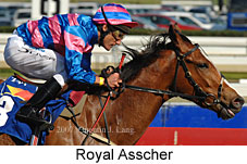 Royal Asscher (14772 bytes)