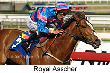 Royal Asscher (14772 bytes)