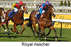 Royal Asscher (14772 bytes)