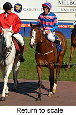 Return to scale (14008 bytes)