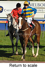 Return to scale (14008 bytes)