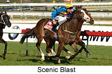 Scenic Blast (14772 bytes)