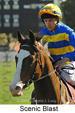 Scenic Blast (14772 bytes)