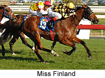 Miss Finland (14772 bytes)