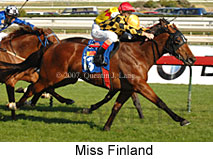 Miss Finland (14772 bytes)