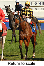 Return to scale (14008 bytes)