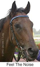 r1feelthenoise2.jpg (7564 bytes)